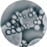 Stabilizers and Specialty Agents